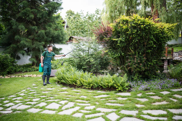 Best Bird Control  in Leavenworth, WA