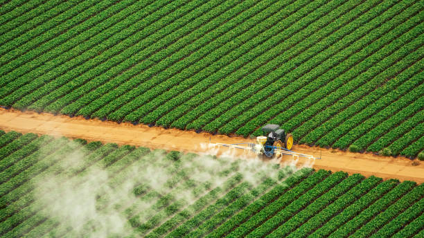 Best Mosquito Control Services  in Leavenworth, WA